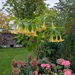 Schoene 3 Zi. Vor Den Toren Frankfurt * Dreieich