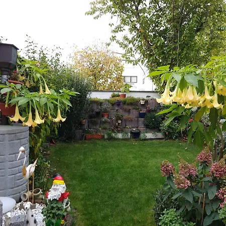 Schoene 3 Zi. Vor Den Toren Frankfurt Daire Dreieich