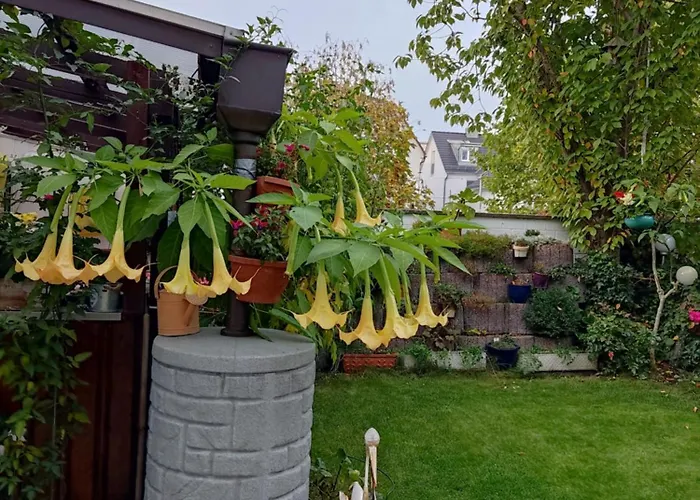 Schoene 3 Zi. Vor Den Toren Frankfurt Апартаменты *