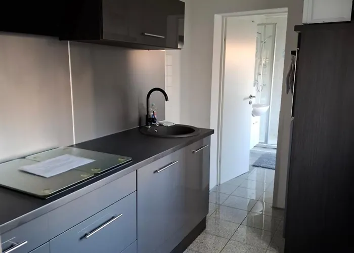 Апартаменты Schoene 3 Zi. Vor Den Toren Frankfurt *